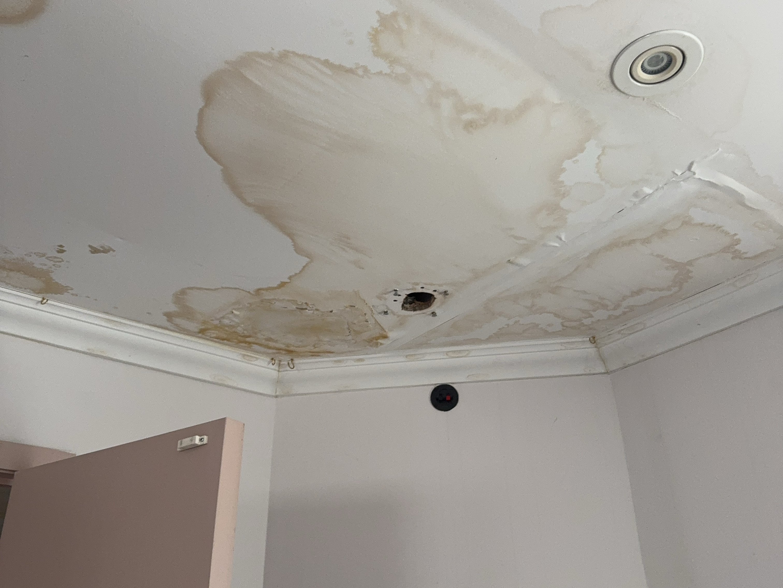 Water Damage Ceiling Assessment